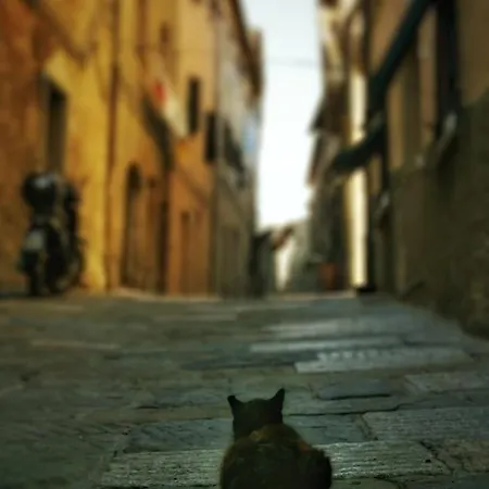I Casamenti * Istia d'Ombrone