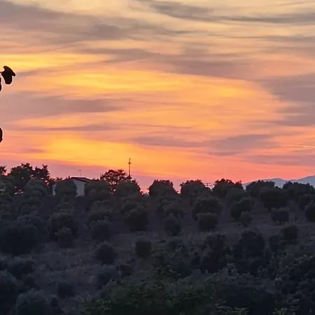 I Casamenti Istia d'Ombrone