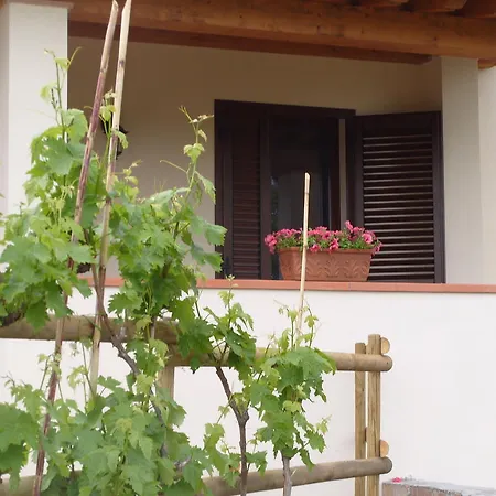 Farm stay I Casamenti *