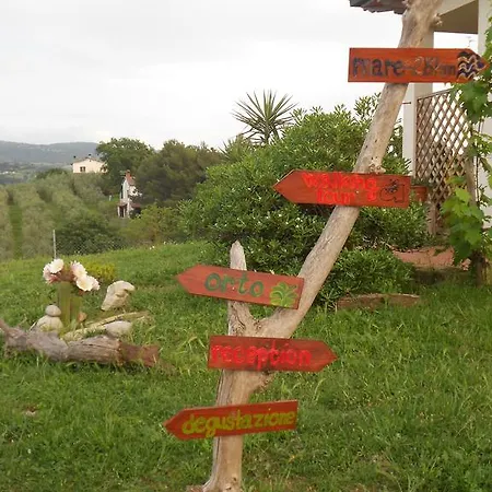 Farm stay I Casamenti *